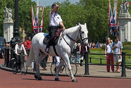 Londyński Policjant konny